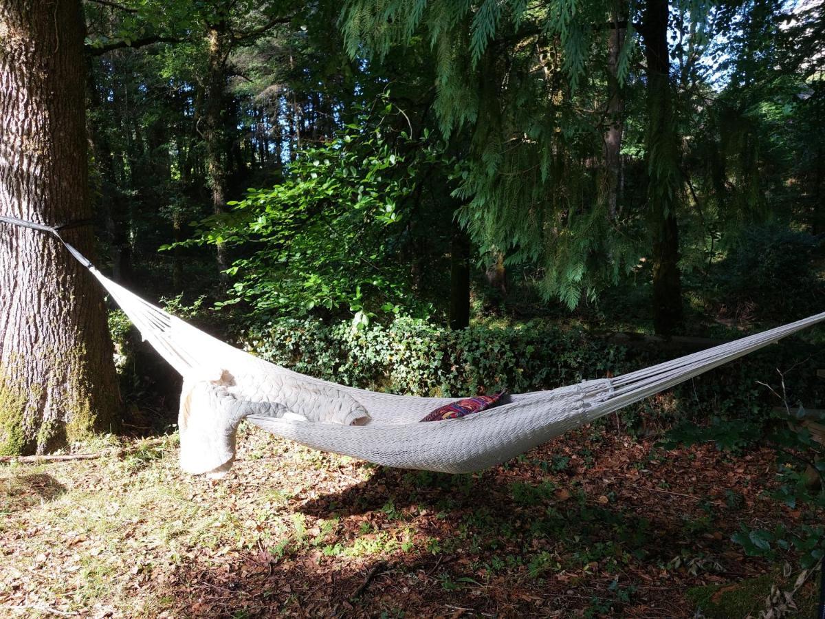 Relax by River Vezere in Sage Arts Apartment Treignac Exterior foto